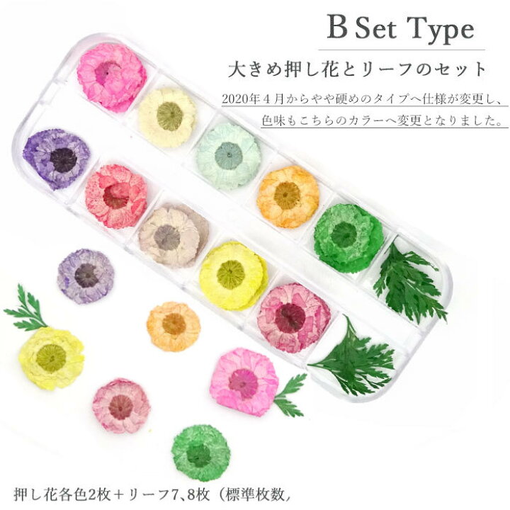 楽天市場 選べる2タイプ リーフ入り ドライフラワー セット 押し花 ケース入り レースフラワー ネイル ハンドメイド アクセサリーに 封入素材 押し花セット メール便可 レースフラワー Arknail 楽天市場 選べる2タイプ リーフ入り ドライフラワー セット 押し花 ケース入り レースフラワー ネイル ハンドメイド アクセサリーに 封入素材 押し花セット メール便可 レースフラワー Arknail