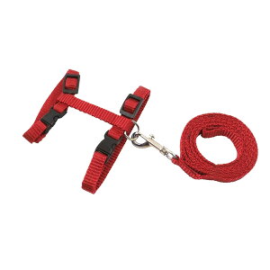 ybgp[h n[lX [V H^̋w胍[v \@ ɂ pS[h@o Oo@ANZT[ ibhj