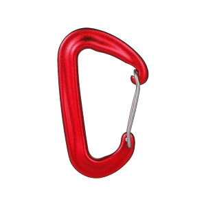 カラビナ キーホルダー 登山用品 大型 小型 とざん Dリング ロックカラビナ カラビナフック どこでもカラビナ キーリング 耐荷重12KN(約1200kg) 脱落防止 超軽量 多機能 釣り ハンモック キャン