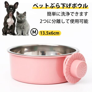 L ݎM  a L t[h{E ybgԂ牺{E ybg{E ybgH a Œ {E L   p H(MTCY)