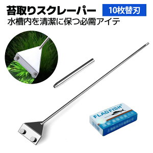  XN[p[  RP  | vCU[ 304XeX AW[N[i[ ێc[ 2iLk KXΉ ͏  | ւnt10t