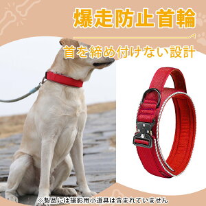 ̎    ybgpi hՁEˍޕt p^NeBJJ[ ^`^p ʋCQ  V g[jO AEghAɍœK ȍDJt ߉\ 