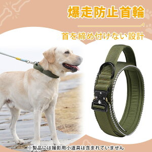 ̎    ybgpi hՁEˍޕt p^NeBJJ[ ^`^p ʋCQ  V g[jO AEghAɍœK ȍDJt ߉\ 