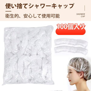 y100zV[Lbv wALbv V[Lbv ĝ wALbv ĝ ĝėX PEf V[Lbv e wAJ[  | s zep Lk