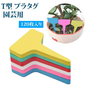 y120 z|x l[v[g | T^x |^O A x^O ԃx h ϋv PVC Al[^O K[fp |D ʎ _ ƒ؉