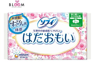 \tB ͂ p H 21cm Pi26 317950