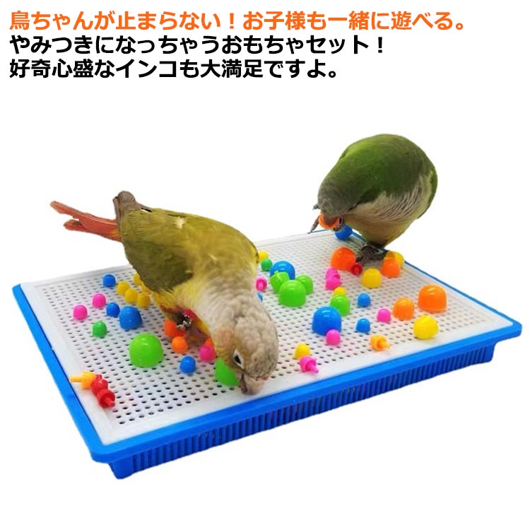 楽天市場】小鳥のおもちゃセット 鳥のおもちゃ 鳥用玩具 プラスチック