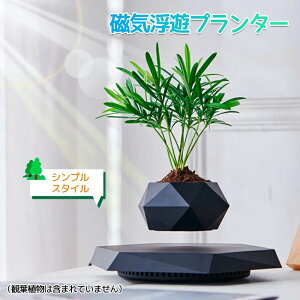 C㎮Aؔ 㕔Aؔ CVv^[ ~jAؔ ϗtA A   | K[fjO Aؔ C V |  TCY v^[ v^[  |bg