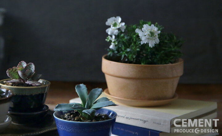 楽天市場 匣庭 ハコニワ 植木鉢 4号浅鉢 日本製 Cement セメントプロデュースデザイン 花器 Flower Pot Planter プランター 園芸 盆 盆栽 盆養 陶磁器 おすすめ 面白 雑貨 伝統の美濃焼 Cement Produce Design 敬老 セレクトショップ アルルカン