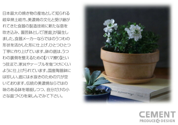 楽天市場 匣庭 ハコニワ 植木鉢 4号浅鉢 日本製 Cement セメントプロデュースデザイン 花器 Flower Pot Planter プランター 園芸 盆 盆栽 盆養 陶磁器 おすすめ 面白 雑貨 伝統の美濃焼 Cement Produce Design 敬老 セレクトショップ アルルカン