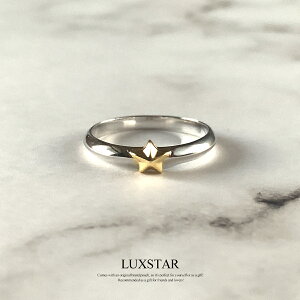 LUXSTAR O w X^[ X^[OVo[925  ςȂ Y fB[X Vv uh lC 20 30  ׂ AM[Ή  ig