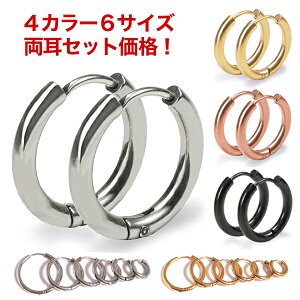 リング ピアス メンズ 大きめの人気商品 通販 価格比較 価格 Com