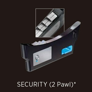 ASP bNZbg2 PAWL F CR901321