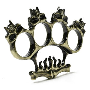 AJ111 lC̃hNŃbNȃfUC