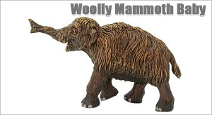 safari (Tt@)WS E[[}Xxr[ 280029ySiES݌ɁzyKiz