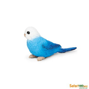 safari (�T�t�@��)�Z�L�Z�C�C���R �i�u���[�j 150629�y�S���i�E�S�݌Ɂz�y���K�i�z