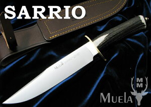  G SARRIO-19A TI/X^bO V[XiCt ,Muela ~^[ AEghA Lv ToCo ToQ[