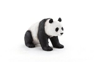 ySiES݌ɁzMojo/ANIMAL PLANET WCAgp_ 387171