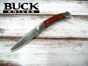 obN 501 RWS-B XNCA tH[fBO iCt BUCK Squire knifeyz ~^[ AEghA Lv ToCo ToQ[