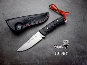 G nXL[ MUELA HUSKY 10M iCt ~^[ AEghA Lv ToCo ToQ[