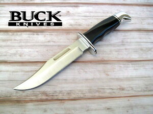  obN 119BK XyV neBO iCt BUCK knife (ToQ[)