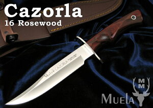  G CAZ-16R J][ 160mm /[YEbhnh {ECiCt Muela ~^[ AEghA Lv ToCo ToQ[