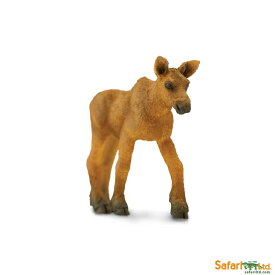 safari (サファリ) ムース（仔）181229【全商品・全在庫】【正規品】
