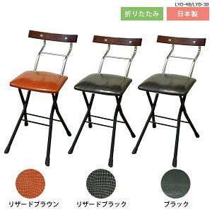 折りたたみ椅子 折りたたみチェア 背もたれ付きの人気商品 通販 価格比較 価格 Com