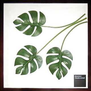 壁掛け観葉植物モンステラリーフアートパネルフェイクグリーンおしゃれカフェリーフパネル壁面緑化リーフアートインテリアフレーム造花モダンアクリルクリアフレーム玄関廊下ニッチリビング寝室木製額縁壁掛壁飾りFeuilleFrame10031