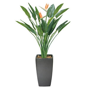 ϗtA O[ Xg`Aԕt L  ͂Ȃ 傫 tFCNO[ lH G} A  rO ^ lHA lHϗtA CeAO[ tFCN Ce