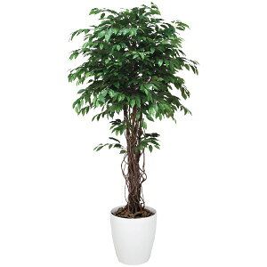 tFCNO[ ϗtA tFCN L ͂Ȃ G} 傫 JXj xW~ CeA  lHϗtA ^ CeAO[ rO O[ A   x