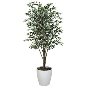 CeA O[ tFCN  ϗtA CeAO[ 傫 tFCNO[ lHϗtA xW~ G} ^ JXj A ͂Ȃ rO  xW~