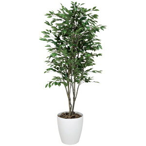 G} ϗtA tFCNO[ CeAO[ tFCNO|  傫 A O[ C~e[VO[ xW~ lHϗtA rO  tFCN ^ xW