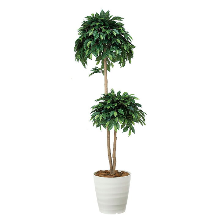 楽天市場 インテリア グリーン フェイク 造花 観葉植物 リビング フェイクグリーン ベンジャミン 人工観葉植物 光触媒 大型 植物 おしゃれ ベンジャミンダブル 開店祝い オフィス 高さ180cm アートグリーン 消臭 新築祝い 贈り物 アジアン サロン 美容院 店舗 人工植物