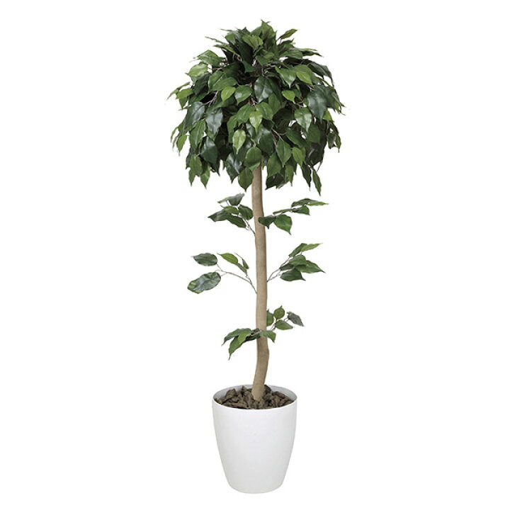 楽天市場 観葉植物 フェイクグリーン 人工 フェイク 造花 消臭 植物 ベンジャミントピアリー 人工観葉植物 インテリア 高さ150cm アートグリーン 枯れない オフィス 開店祝い 光触媒 ホテル 新築祝い 贈り物 アジアン サロン 美容院 店舗 人工観葉樹 人工植物 人工樹 お