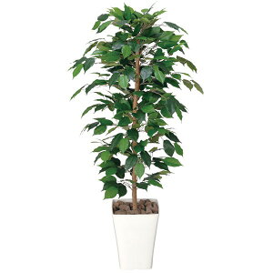 ϗtA  CeA G} lHϗtA ItBX A xW~ tFCNO[ rO O[  tBJXxW~ 120cm A[gO[ tFCN L J