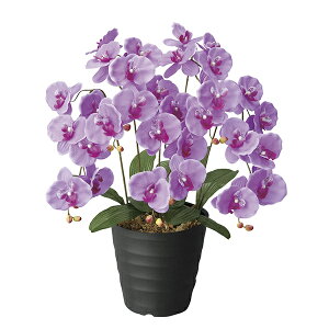 G} Ӓ JXj t[ ͂Ȃ  rO G} Vzj lHϗtA A CeA  t[Mtg GWFӒL v[g ̓ t[AW