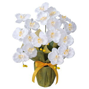 G} Ӓ  JXj t[  A CeA lHϗtA v[g Vzj sv rO t[Mtg G} ~fBӒW ̓ t[AW