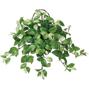 観葉植物 人工観葉植物 壁掛けの人気商品 通販 価格比較 価格 Com
