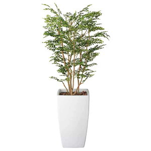 tFCNO[ ϗtA CeAO[ lHϗtA ͂Ȃ G} 傫 L   O[ A rO ^ tFCN lH lHA A[gS[fc[ C