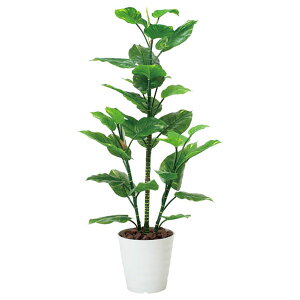 ϗtA tFCNO[ L CeA tFCN G} lHϗtA JXj 傫 lH  CeAO[ A O[ C~e[VO[ hV̓  A