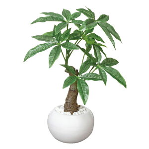 pL tFCNO[ CeA L ͂Ȃ tFCN A[gO[ lHϗtA C~e[VO[|bg G} lHA CeAO[  ϗtA O[ A