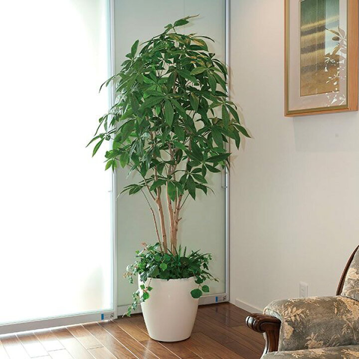 楽天市場】パキラ フェイクグリーン 観葉植物 人工 光触媒 植物 大きい 