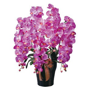 G} Ӓ j t[   G} rO ̓ lHϗtA R`E A CeA A[gt[ R ϗtA L G}ϗtA _CjO tFCNO