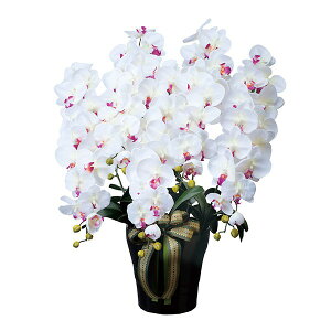 G} Ӓ  t[  G}ϗtA G} j R`E lHϗtA ̓ IV L A CeA ϗtA R Mtg A[gt[ _CjO t