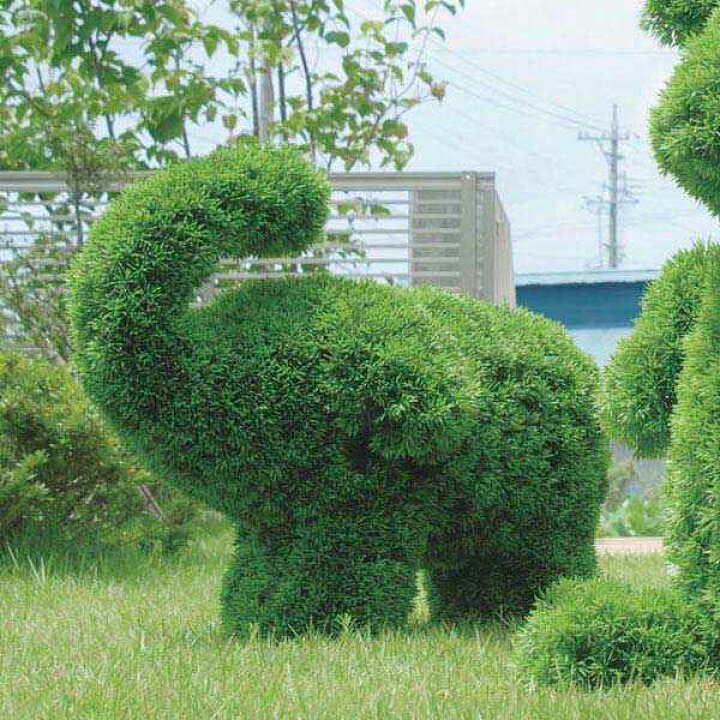 楽天市場 人工観葉植物 植物 ぞう インテリアグリーン オブジェ 象 観葉植物 おしゃれ ゾウ ガーデン 動物型 アニマル 枯れない フェイクグリーン グリーン フェイク 庭 屋外 動物 トピアリー アートグリーン プレゼント ギフト 新築祝い 引っ越し祝い ゾウl 高さ74cm 楽天市場 人工観葉植物 植物 ぞう インテリアグリーン オブジェ 象 観葉植物 おしゃれ ゾウ ガーデン 動物型 アニマル 枯れない フェイクグリーン グリーン フェイク 庭 屋外 動物 トピアリー アートグリーン プレゼント ギフト 新築祝い 引っ越し祝い ゾウl 高さ74cm