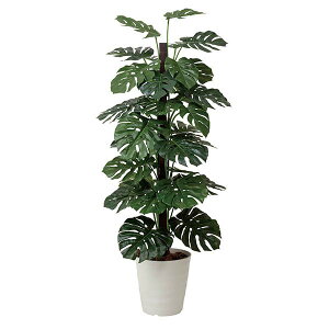 ϗtA G} CeA lHϗtA  ͂Ȃ tFCN rO tFCNO[ 傫 Xe CeAO[ O[ G}ϗtA JXj ^ A