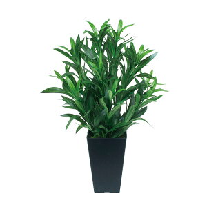  tFCNO[ L G} lHA ~j XpC_[ A[gO[ CeAO[ lHϗtA tFCN AWg gC ϗtA  ͂Ȃ CeA r