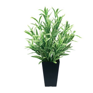  tFCNO[ L ~j ͂Ȃ lHA G} lHϗtA tFCN CeAO[ c[gXpC_[ A[gO[  O[ ϗtA gC CeA A