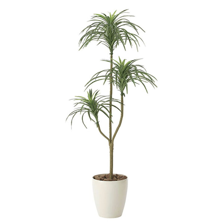 楽天市場】光触媒 観葉植物 インテリアグリーン オフィス 鉢 カフェ 